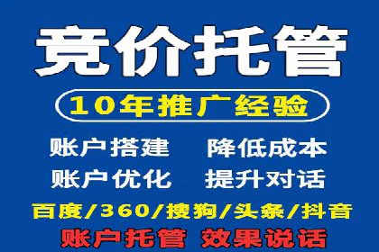 百度竞价代理技巧：经典成功案例解析